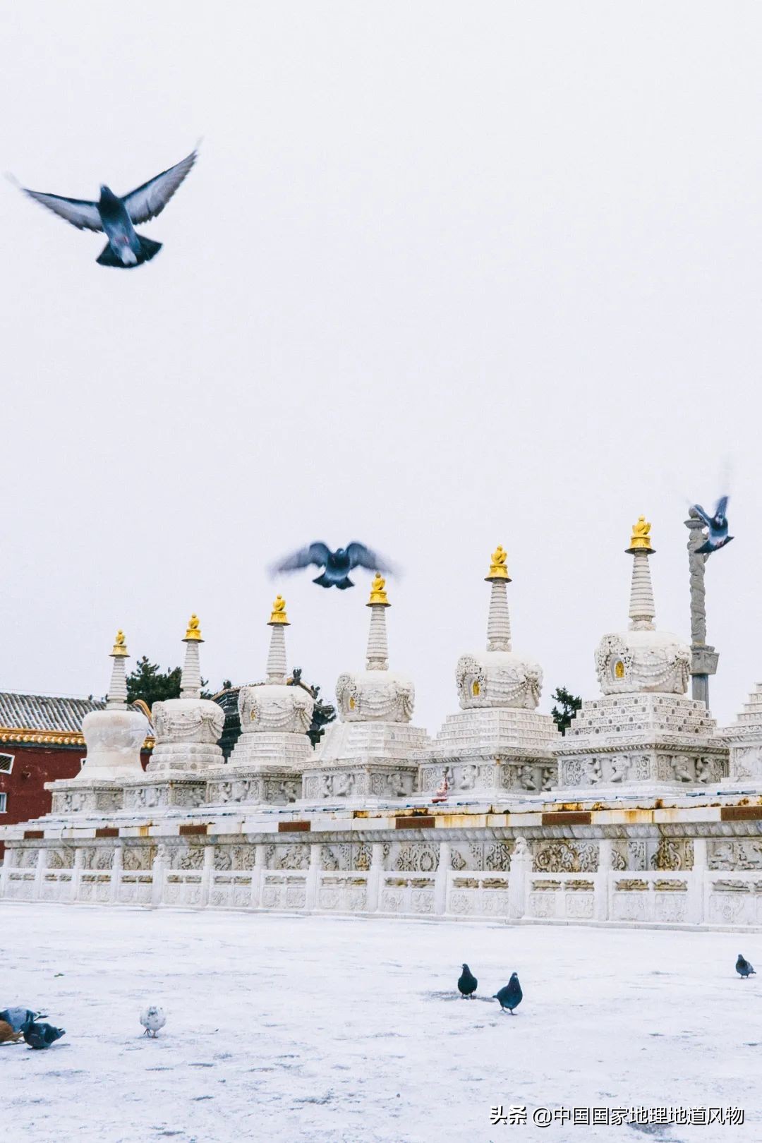 内蒙古呼和浩特的特点,内蒙古呼和浩特有什么特色