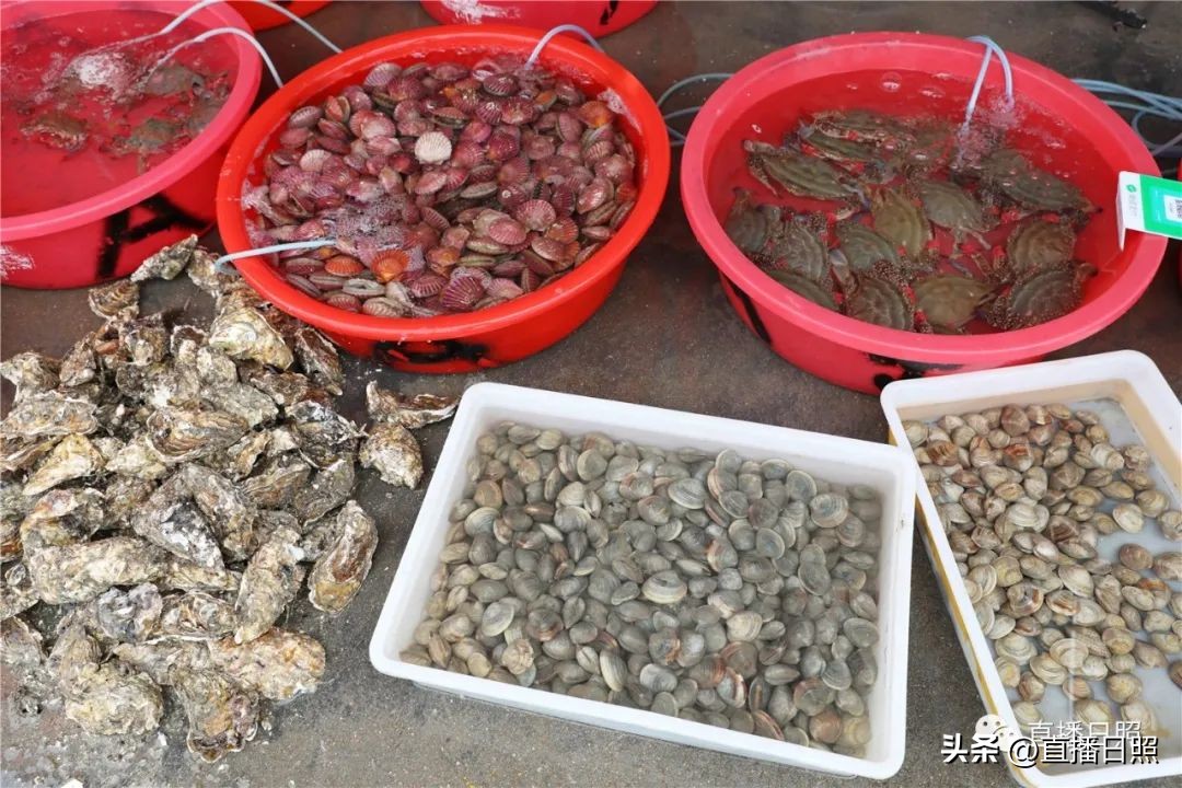 肉质紧实的海虾便宜,肉质嫩价格便宜的海鱼