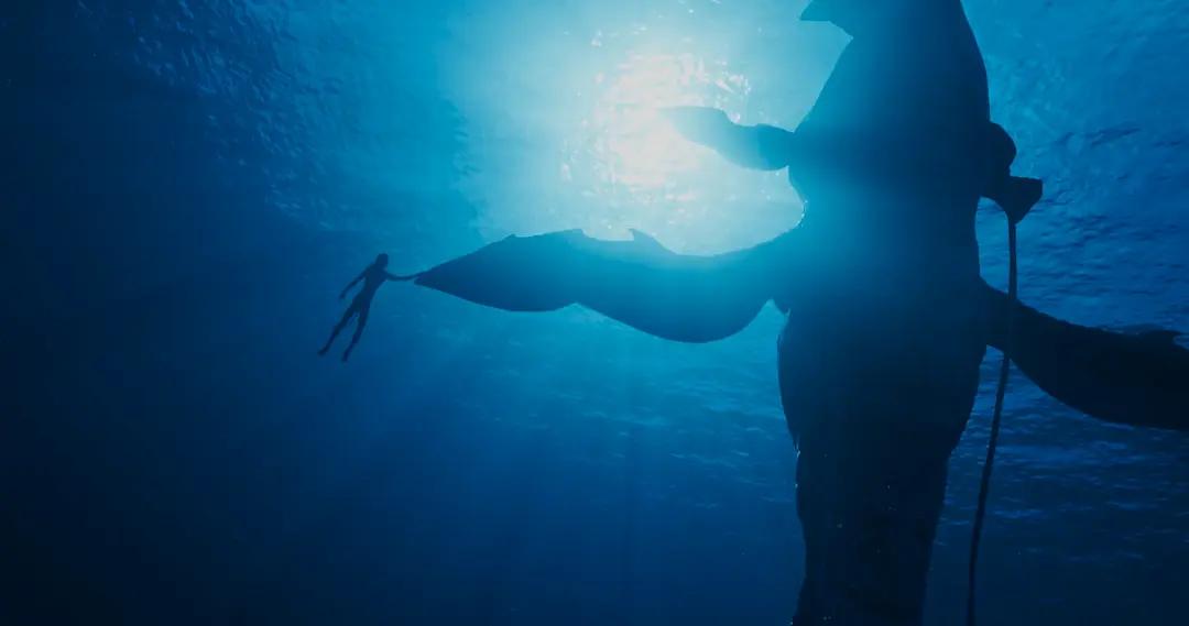 时长超3小时阿凡达2值不值得看 (阿凡达二观看注意事项)