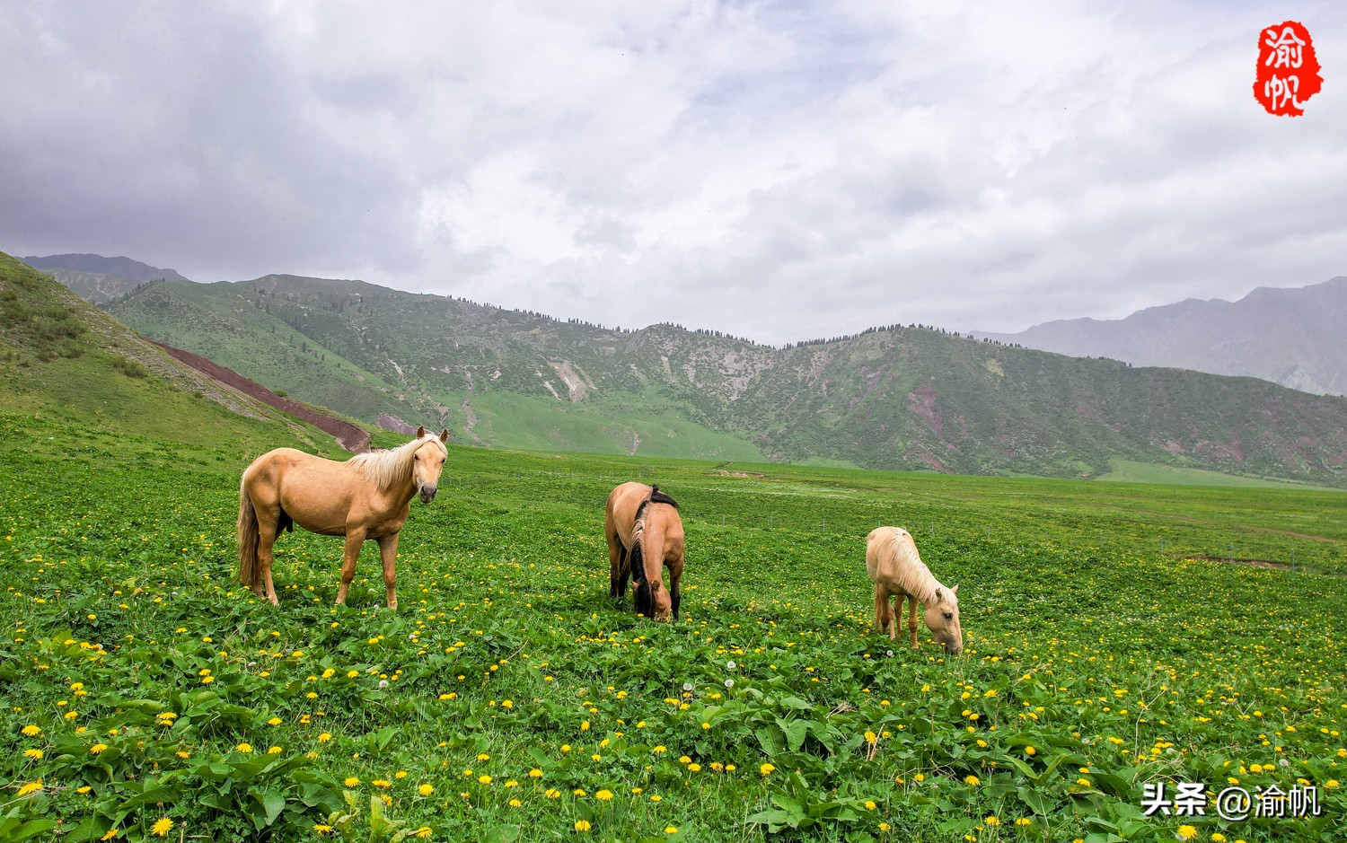 天山下的那拉提,陶渊明笔下世外桃源的美景