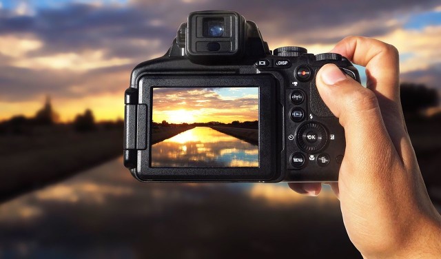 小学低年级英语单词闯关,六年级英语单词每日打卡