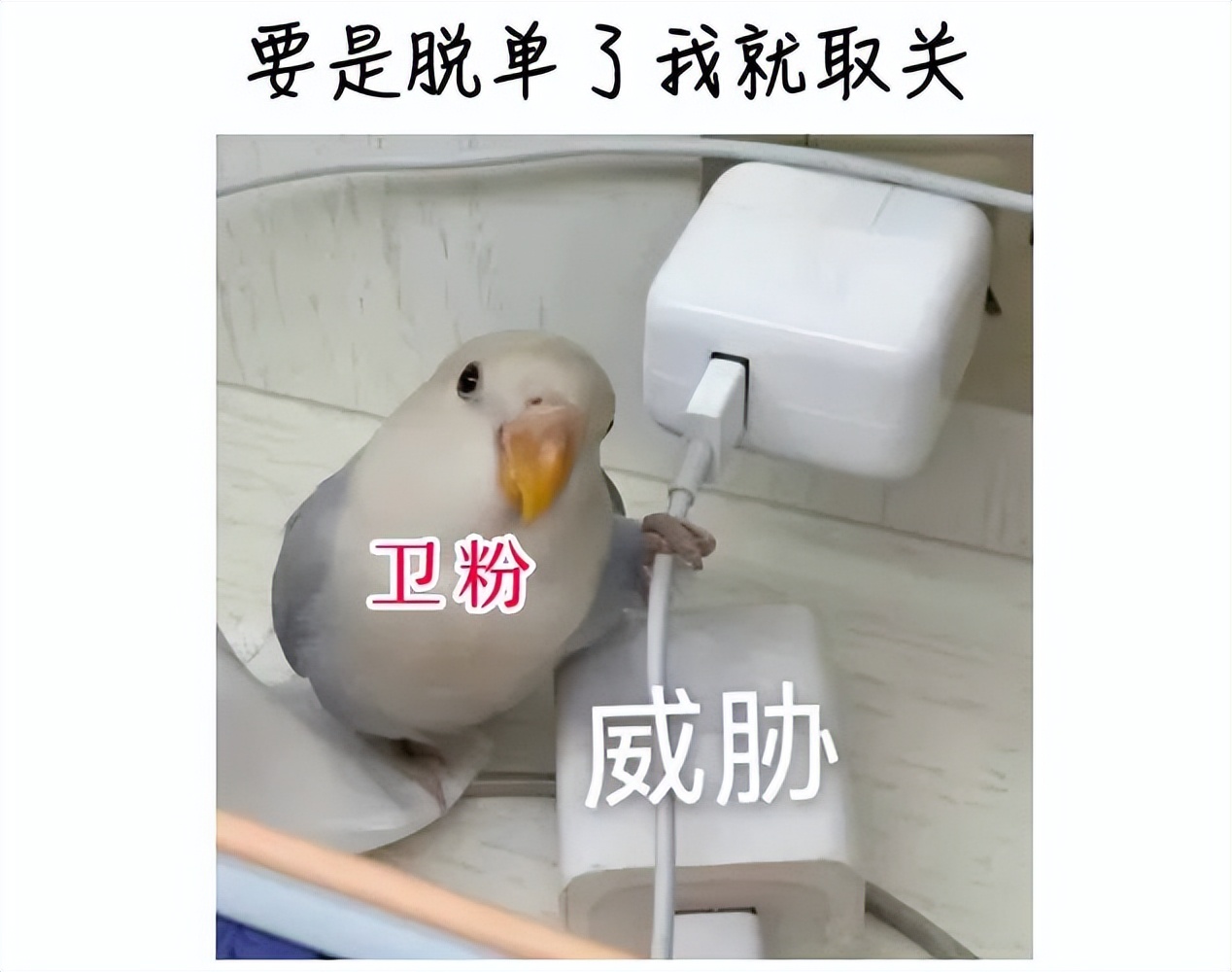 洗衣用消毒液出现皮肤不适,消毒液对皮肤瘙痒有作用吗