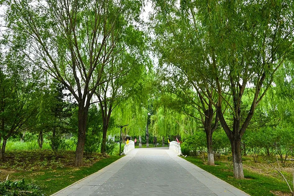 北京免费景美公园大全,北京这个公园也很美