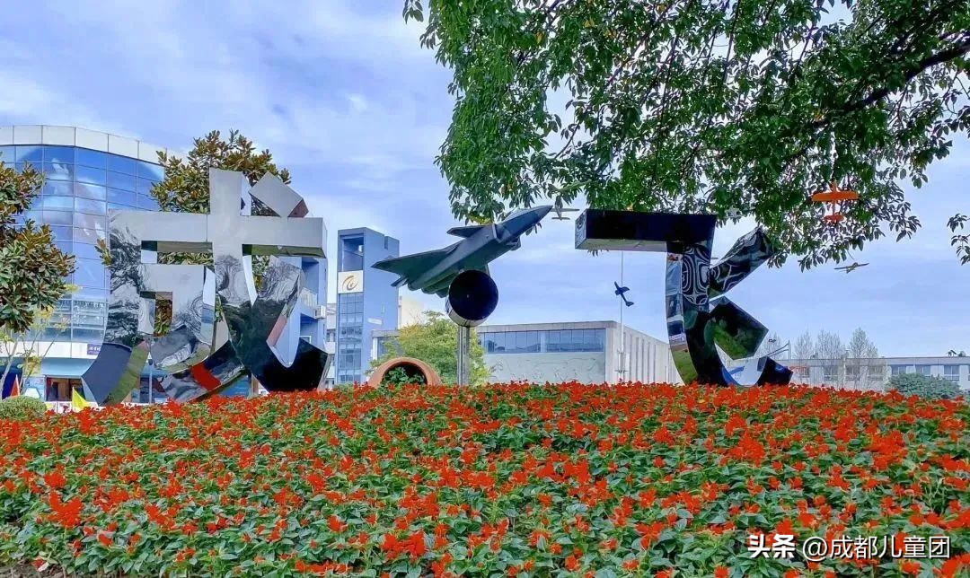 看中“直升”,还是想要“金花”?五大区的教育特色,谁是你的心头好