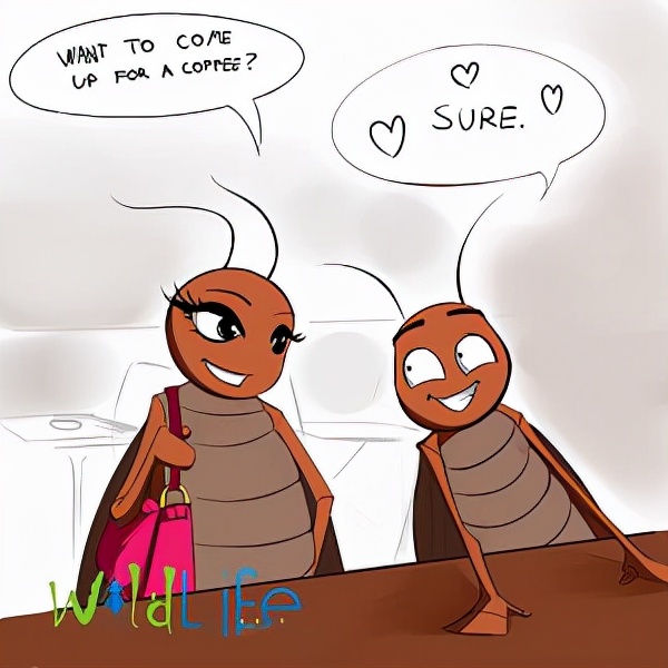 蟑螂没有头能存活很久是真的吗,蟑螂为何遭受巨大打击也能存活