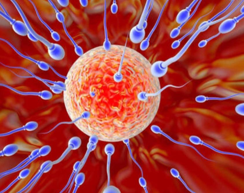 月经前几天是安全期时间表,例假前是安全期还是后是安全期