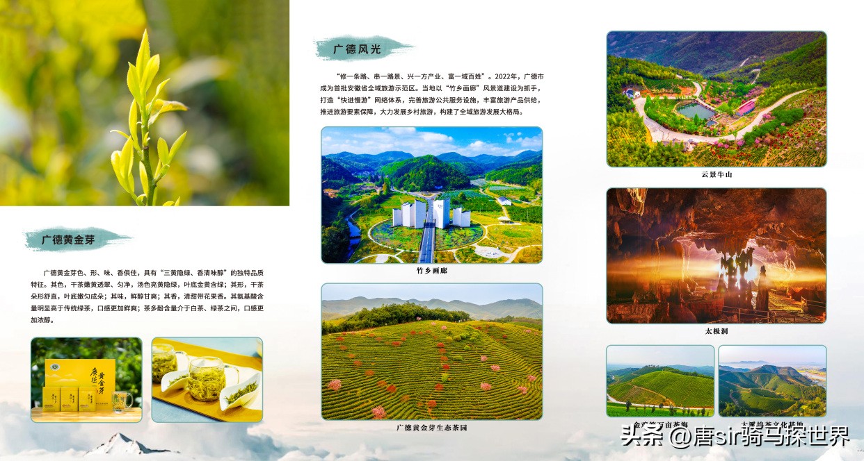 中国最珍贵竹乡,中国茶竹之乡在哪里