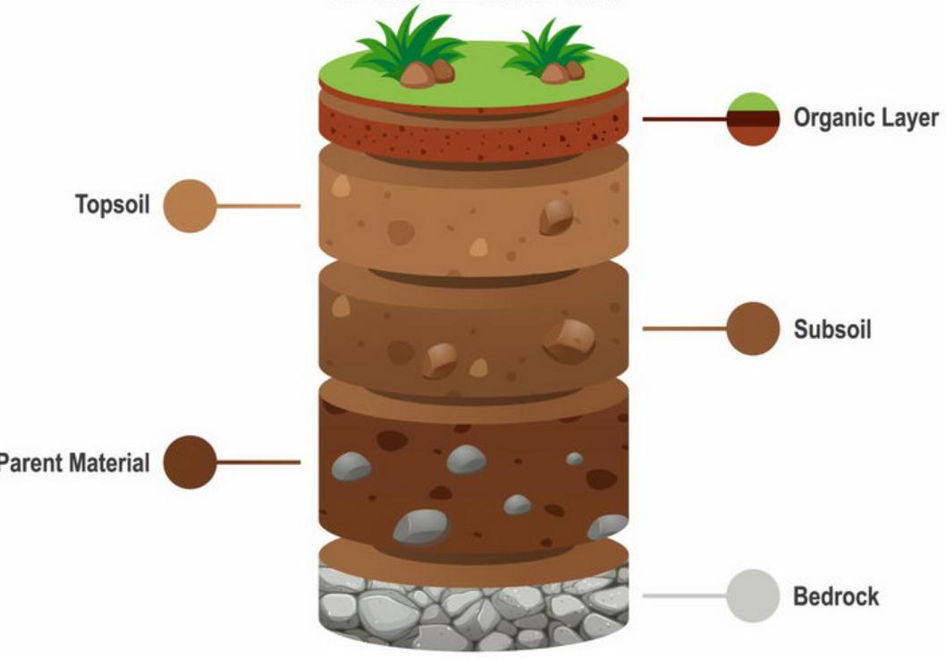 戈壁为什么禁种硒砂瓜,宁夏硒砂西瓜不让种植了吗