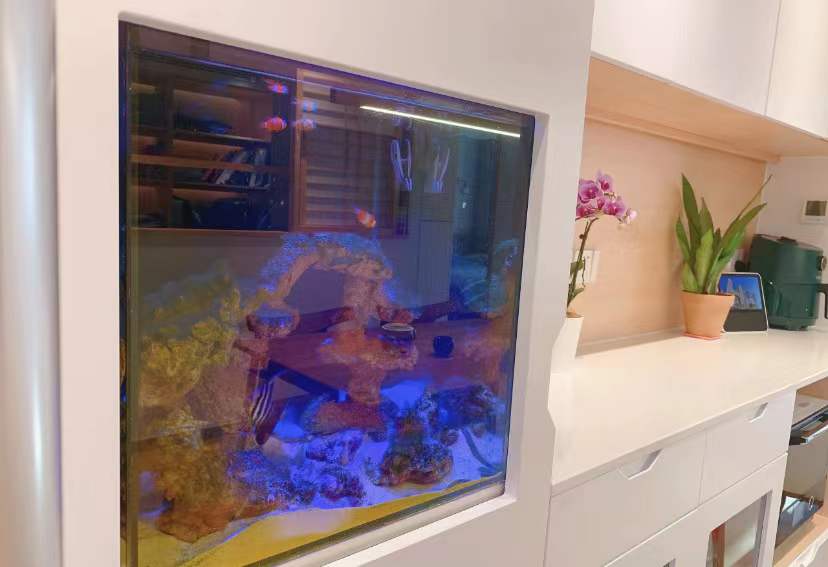 上海一宝妈将60平小家爆改出3室，坚持卫浴四分离，细节令人佩服