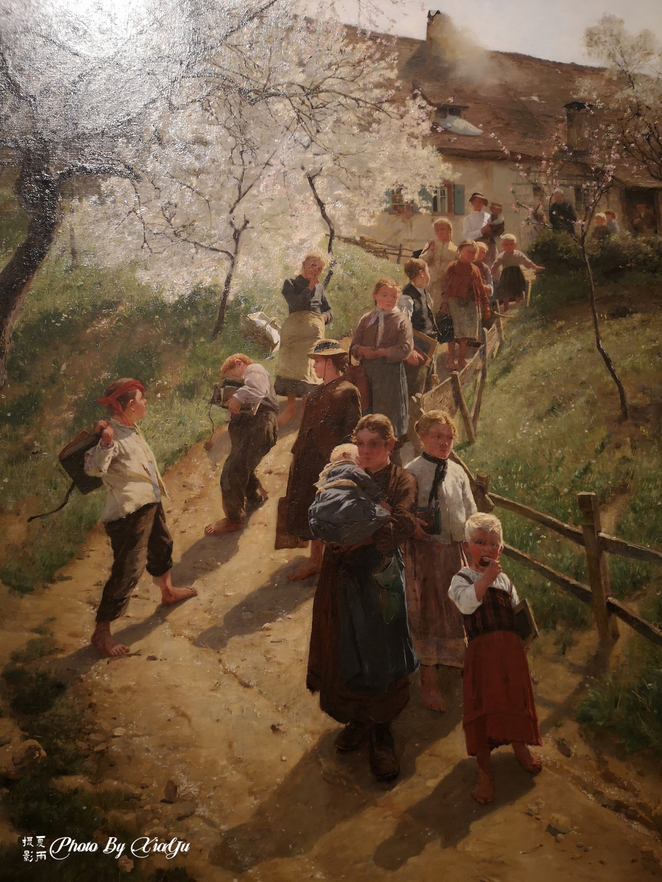 「畅游大洋洲」初识悉尼（五）