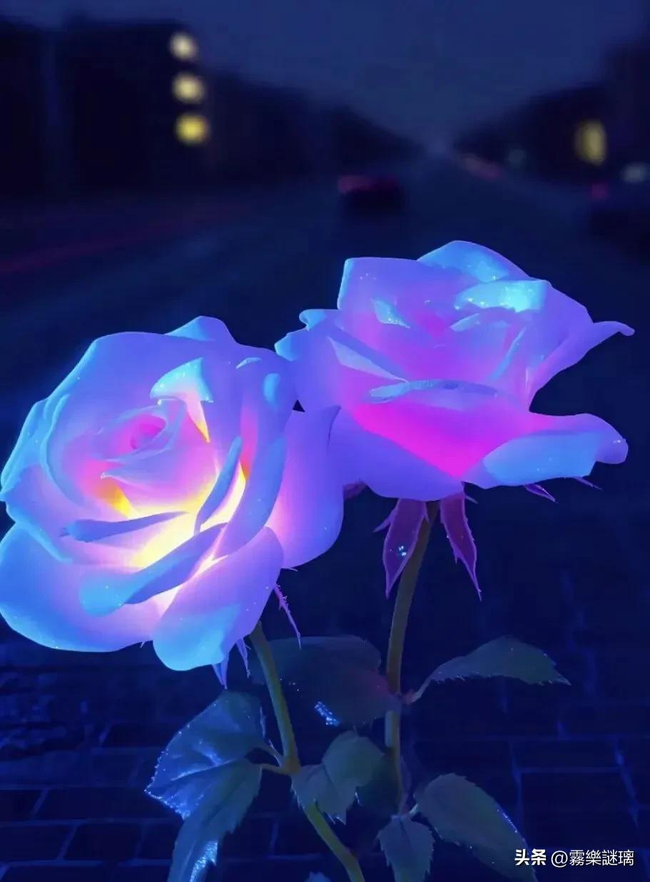 在自己热爱的工作里发光发热,35岁做一份自己不喜欢的工作