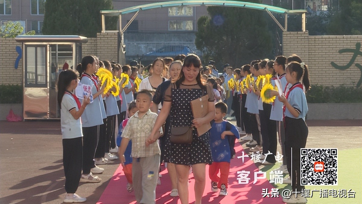 你好萌新是什么意思,你好萌新