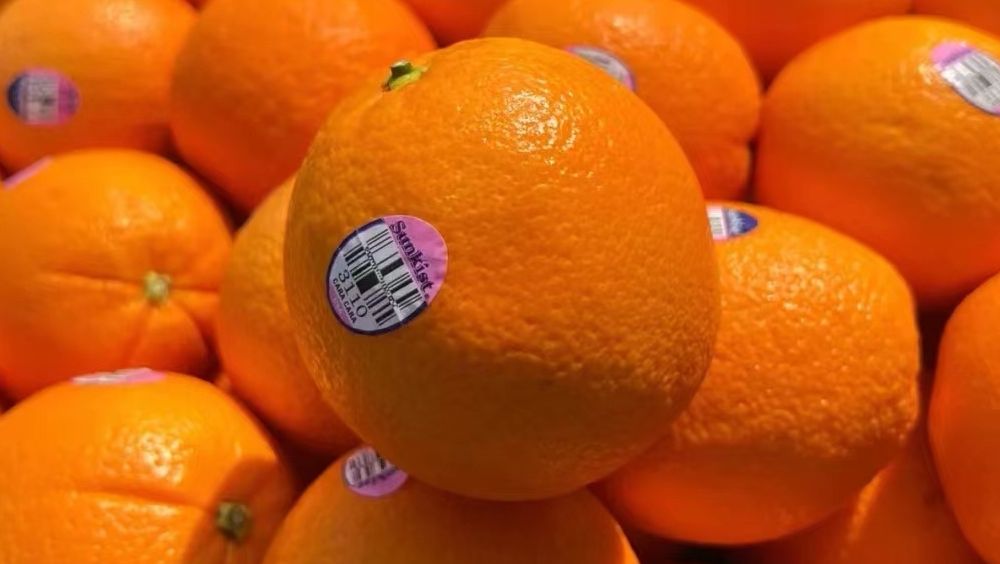 水果店开在什么商圈附近,开水果店都去哪里进货