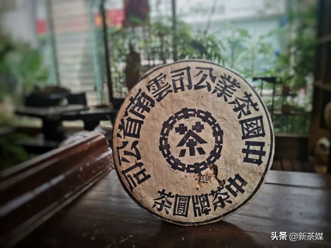 刀哥真人采访,刀哥访谈完整版