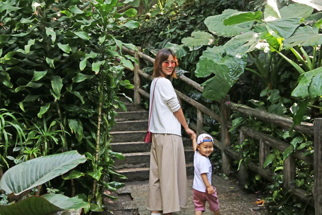 厦门亲子旅行攻略,厦门北站亲子宾馆