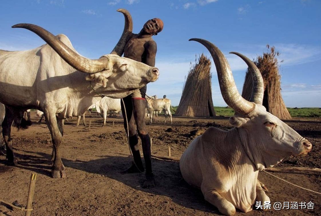 世界最矮的民族排名,世界最矮民族排名