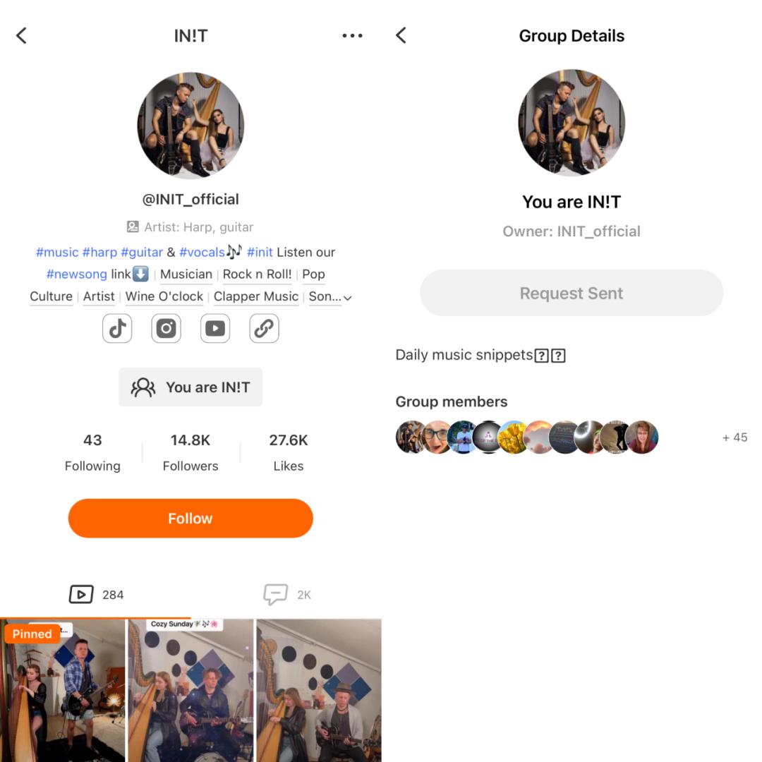 海外用户开始寻找TikTok替代品华人创业者的短视频App冲到总榜第4