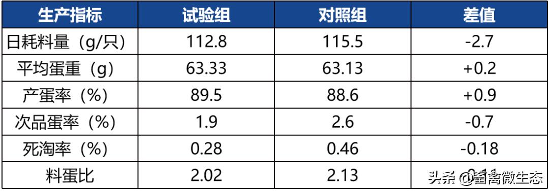 鸡感染严重的大肠杆菌怎么用药,鸡沙门氏大肠杆菌混合感染的症状