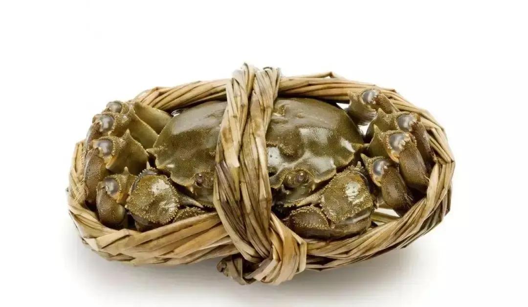 怎么绑大螃蟹最简单的方法,绑螃蟹教程青蟹