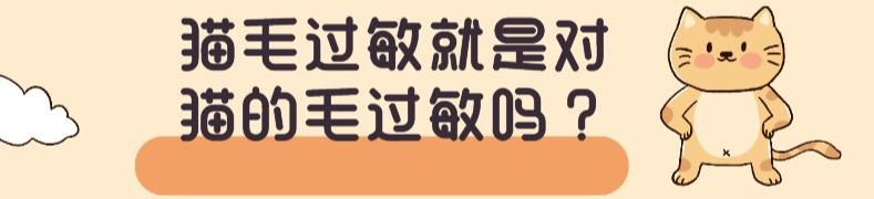 吸猫重度成瘾患者,吸猫肺痒咳嗽怎么回事