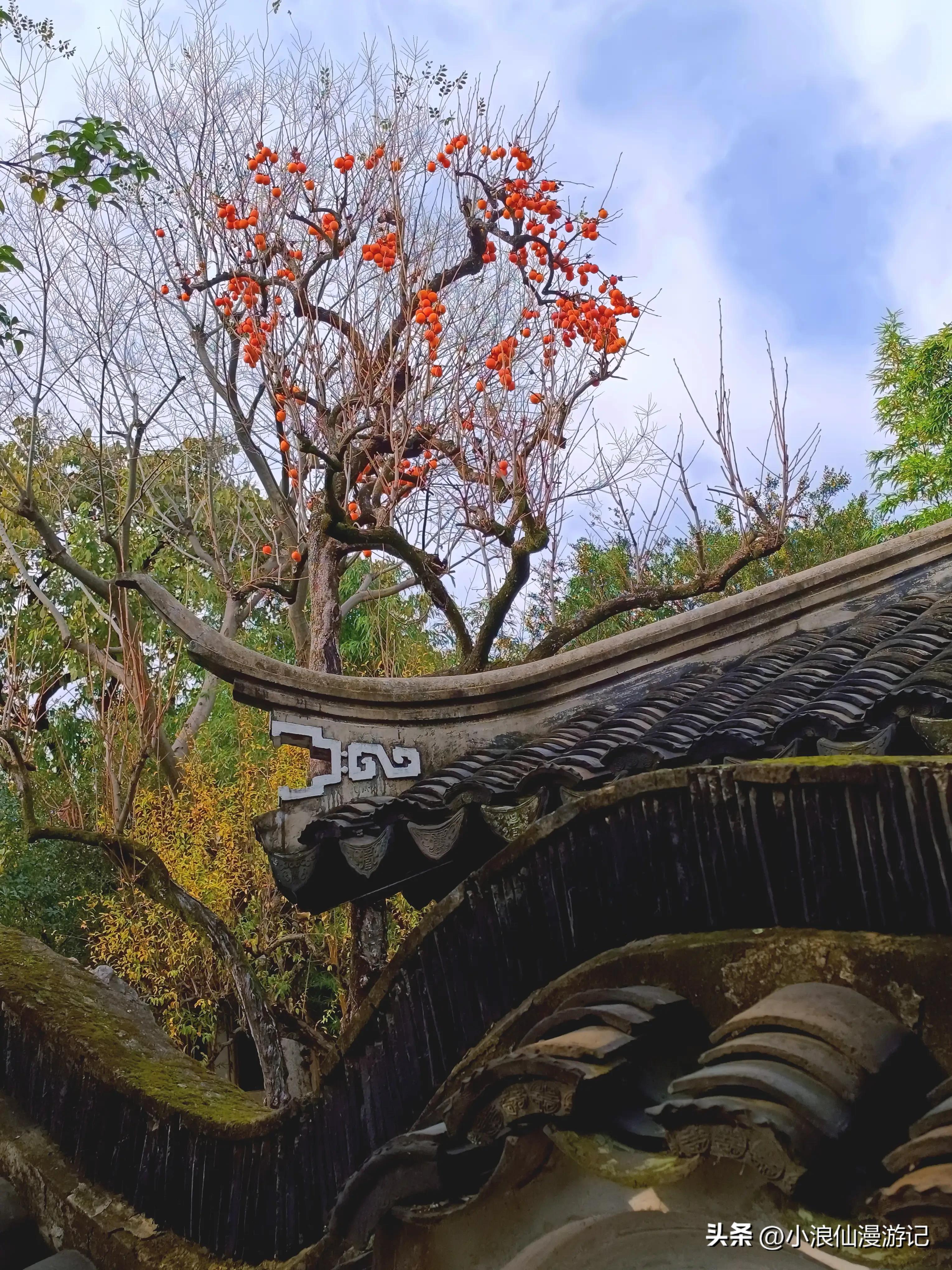 苏州园林怡园拍摄地点,苏州园林里的怡园是什么