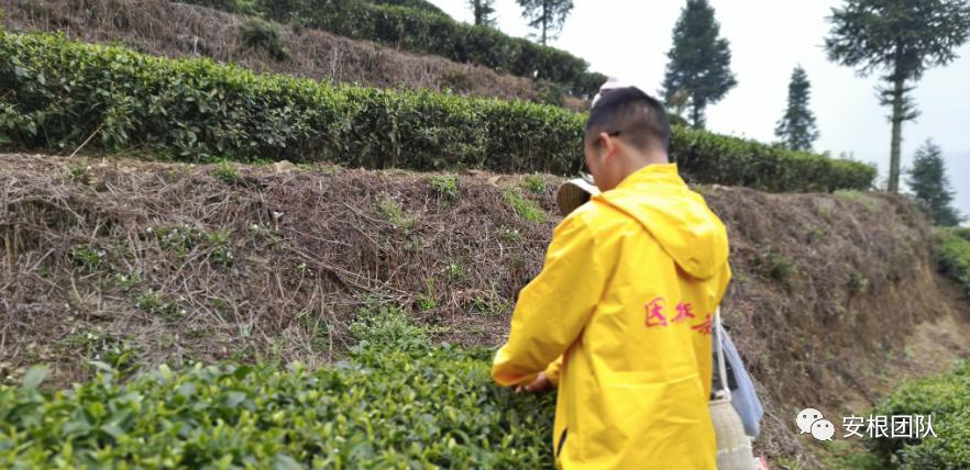 如何引导农民合作社发展,我国农民合作社发展的政策机遇