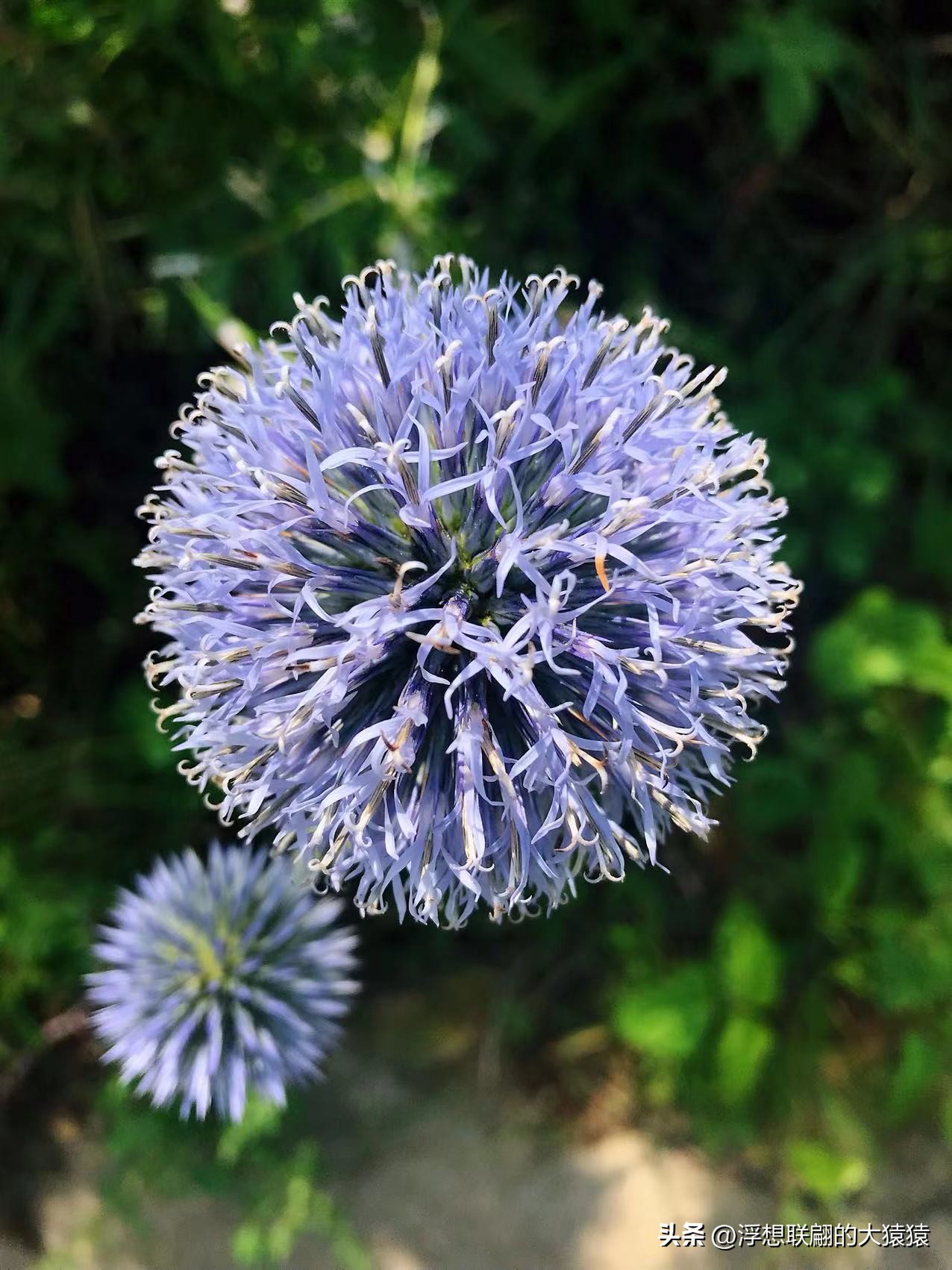 济南章丘冬天自驾游路线推荐,济南周边石门村攻略