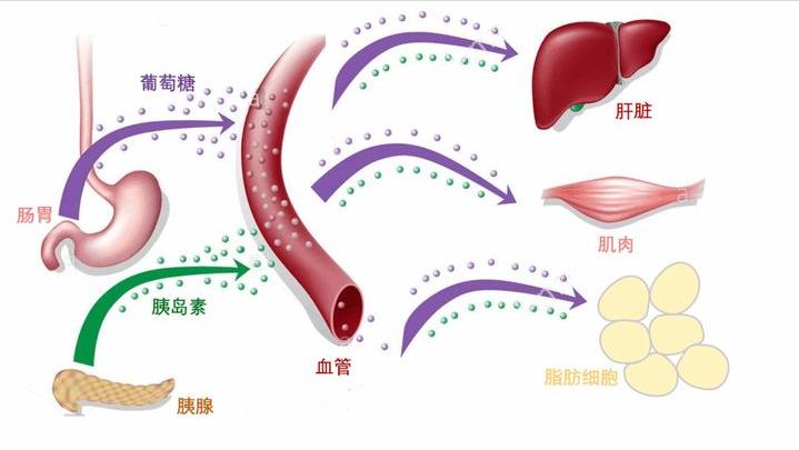 糖吃多了会诱发妇科病吗,长期吃甜食易得乳腺癌