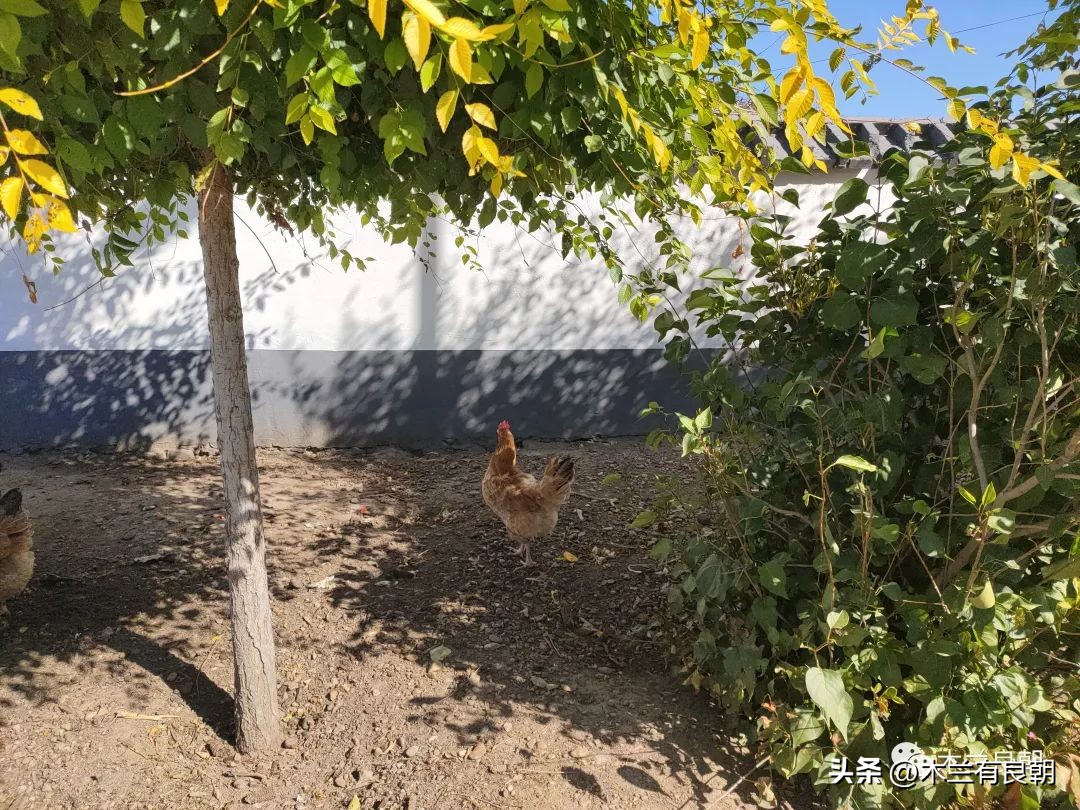 疫情虽然可怕但是我们永不畏惧,疫情依然不容小视