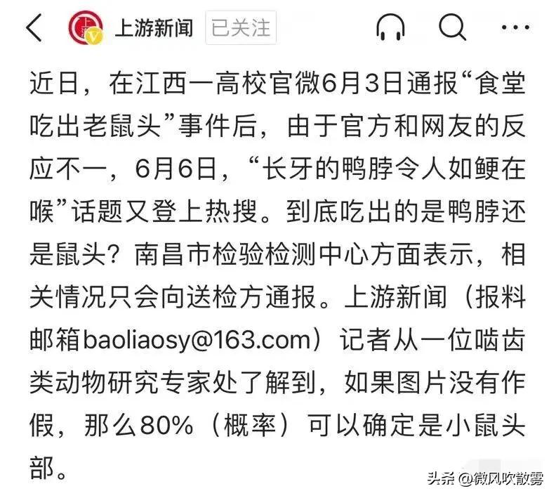 闹大了！“老鼠头事件”，教育厅出马，会不会有人已经瑟瑟发抖？