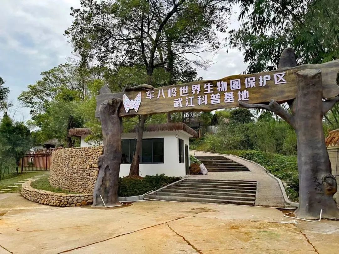 韶关适合带小朋友玩耍的地方,韶关亲子游最佳免费地方