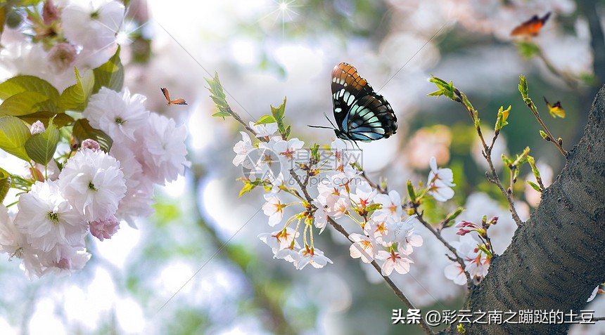 气有几天？候有几天你知道吗？