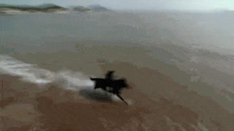 打脸的男明星,打脸娱乐圈