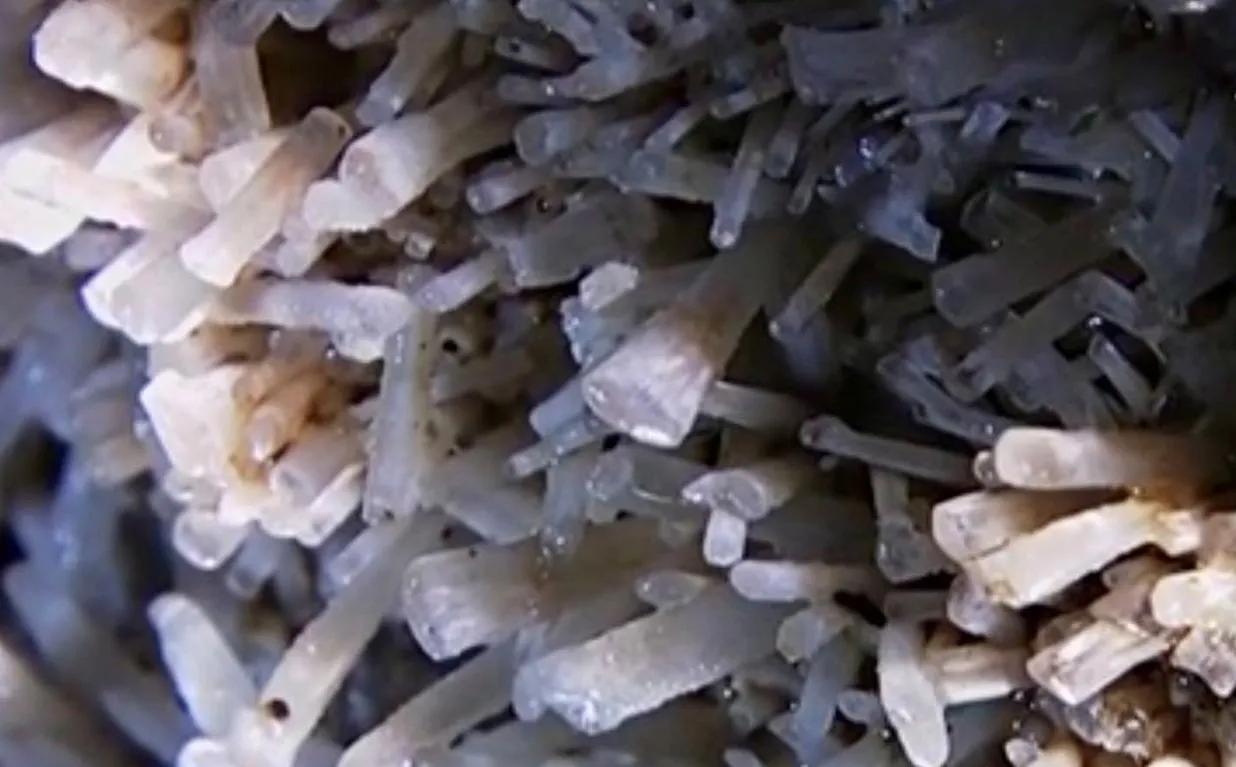 藏金洞的荷包蛋图片,贵州神秘山洞中荷包蛋