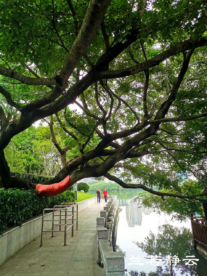 厦门白鹭洲公园陨石展览馆,白鹭洲公园是厦门的宝藏公园