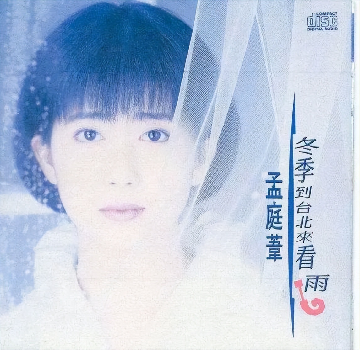 冬天抖音最火的歌,和冬天有关的歌曲