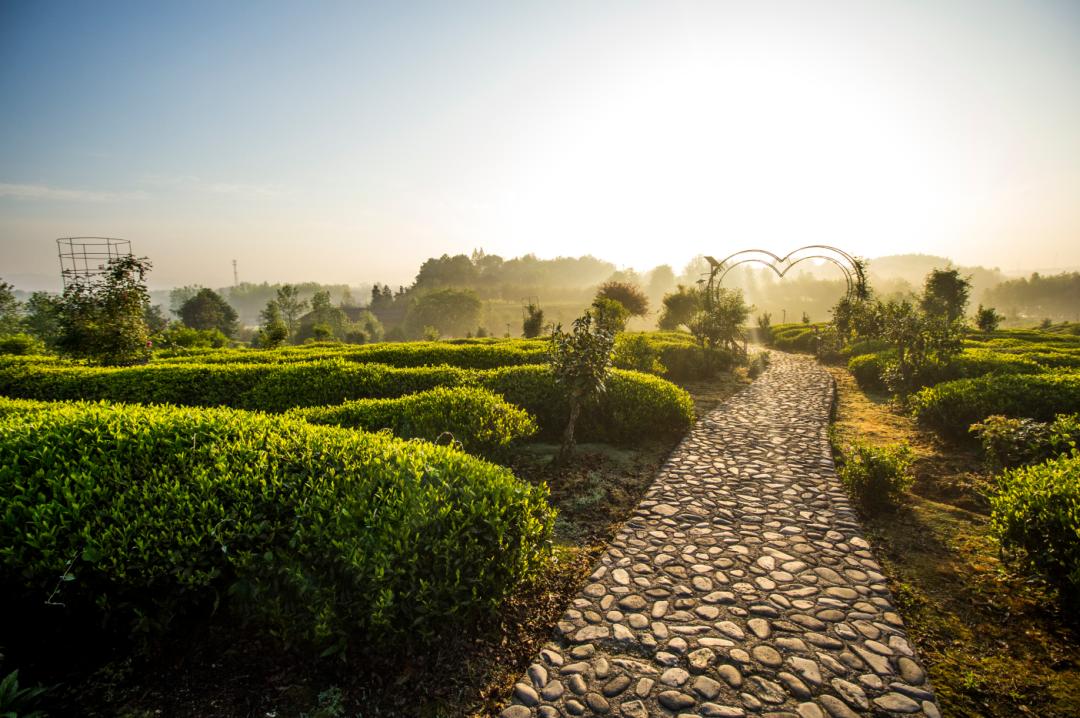 古徽州秋季自由行攻略,寻梦江南水墨徽州皖南古村落游记