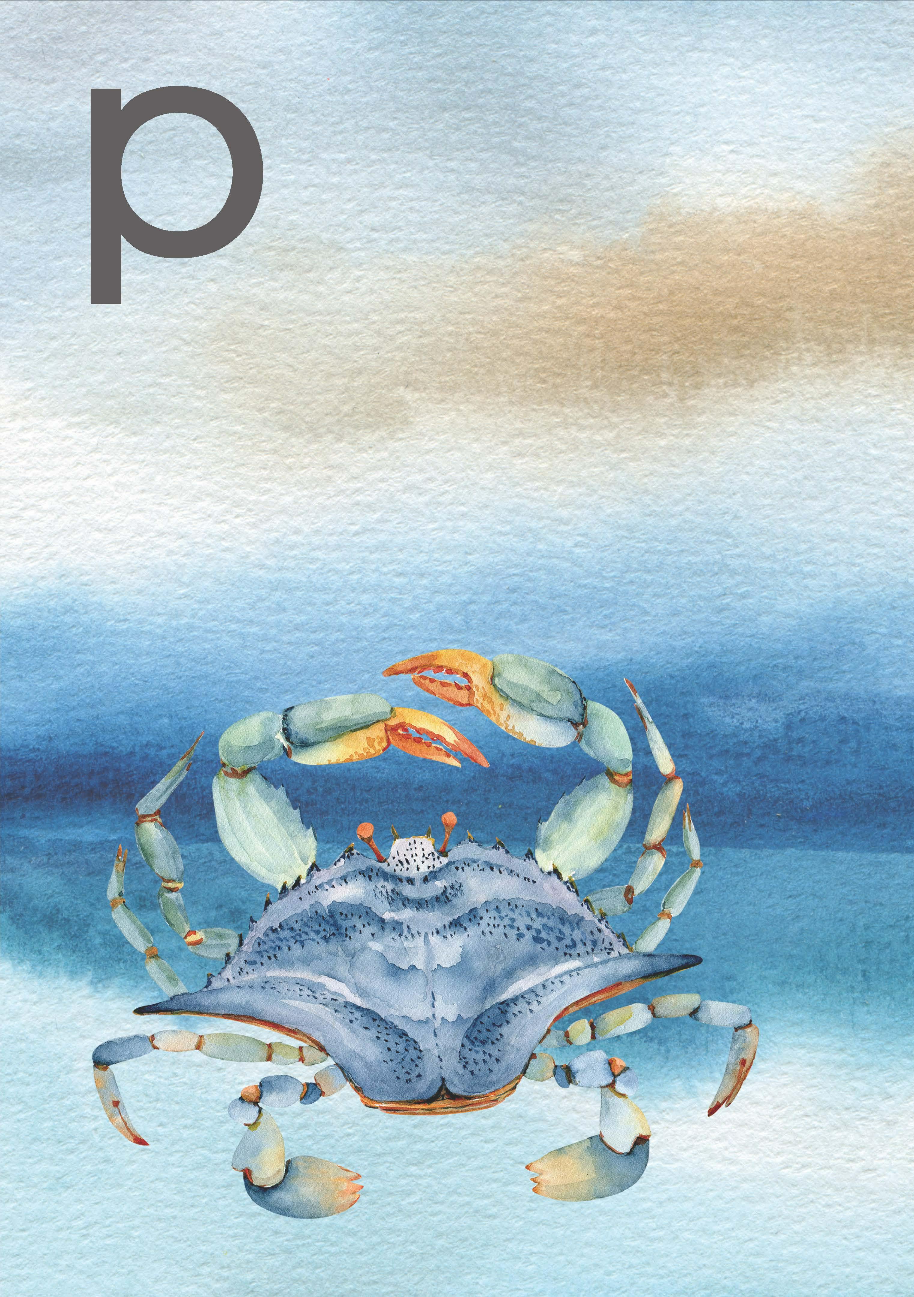 儿童拼音声母韵母整体彩色卡片,小学拼音声母韵母拼读全表挂图