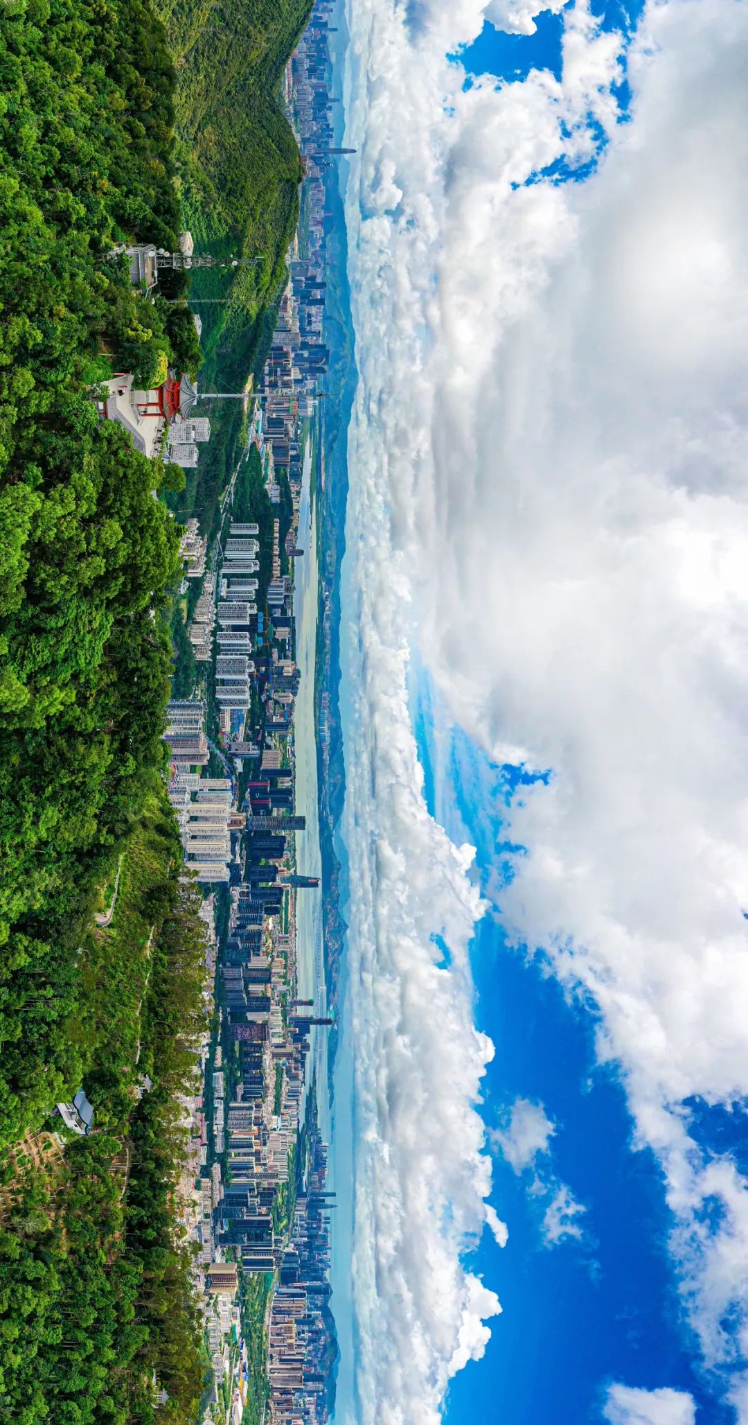 椋為槄娣卞湷41鍛ㄥ勾,椋為槄娣卞湷鏃ュ巻