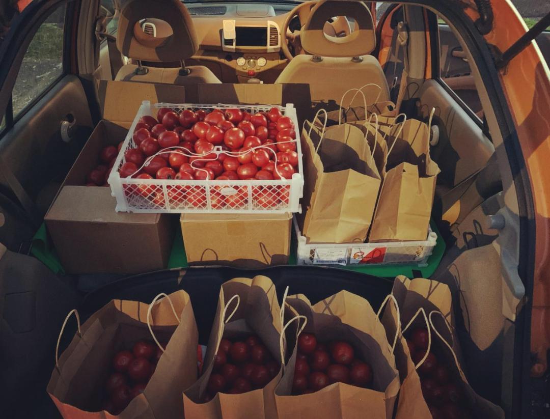 长得丑被抛弃,长得丑被人抛弃