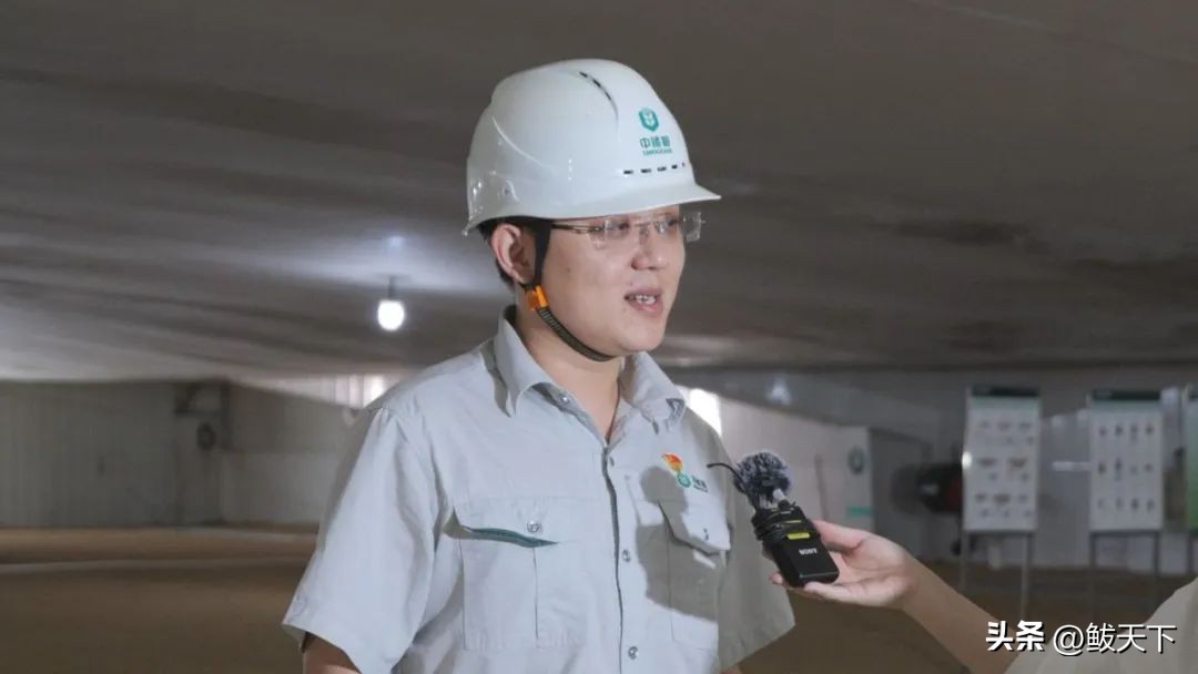 中储粮收不收转基因玉米,中储粮营口直属库