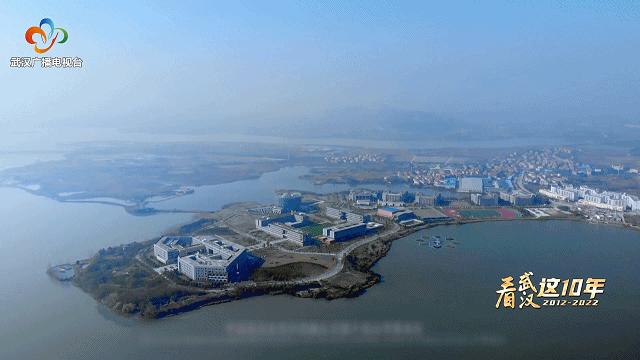 赏花观鸟赏美景,赏花观鸟