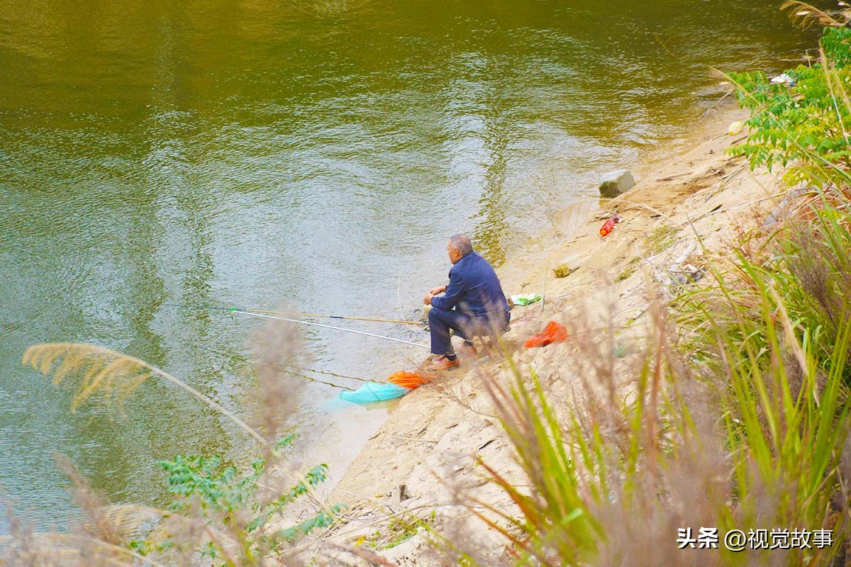 为什么近些年农村挖鱼塘养鱼的多,为什么水库养鱼比较多