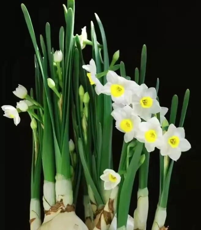 一念天堂一念地狱歌曲,一念天堂一念地狱全文阅读