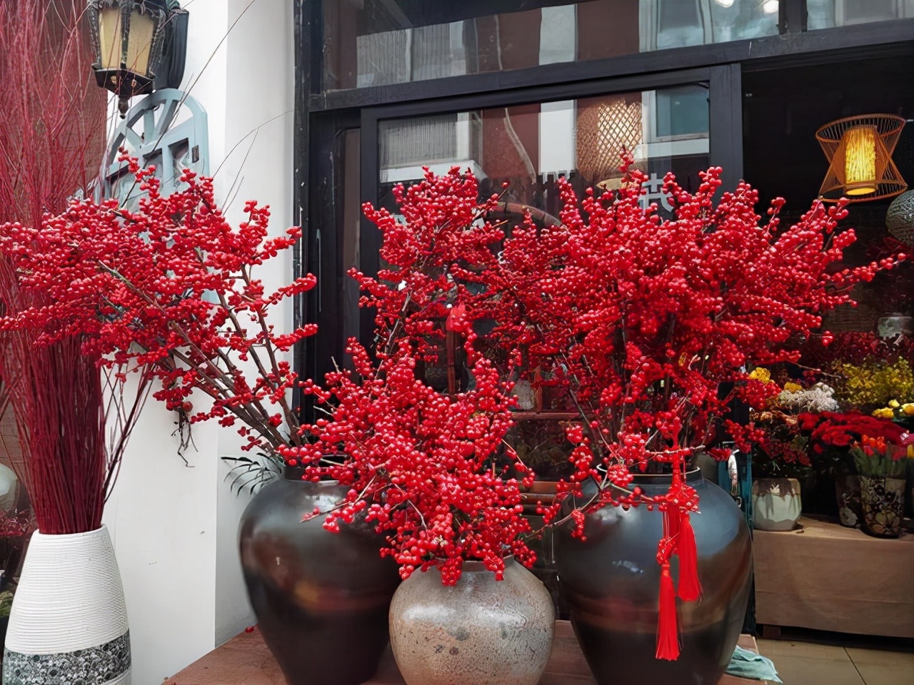 6种“昂贵花”，花钱不值得，纵使“美如仙”，十有八九养不活