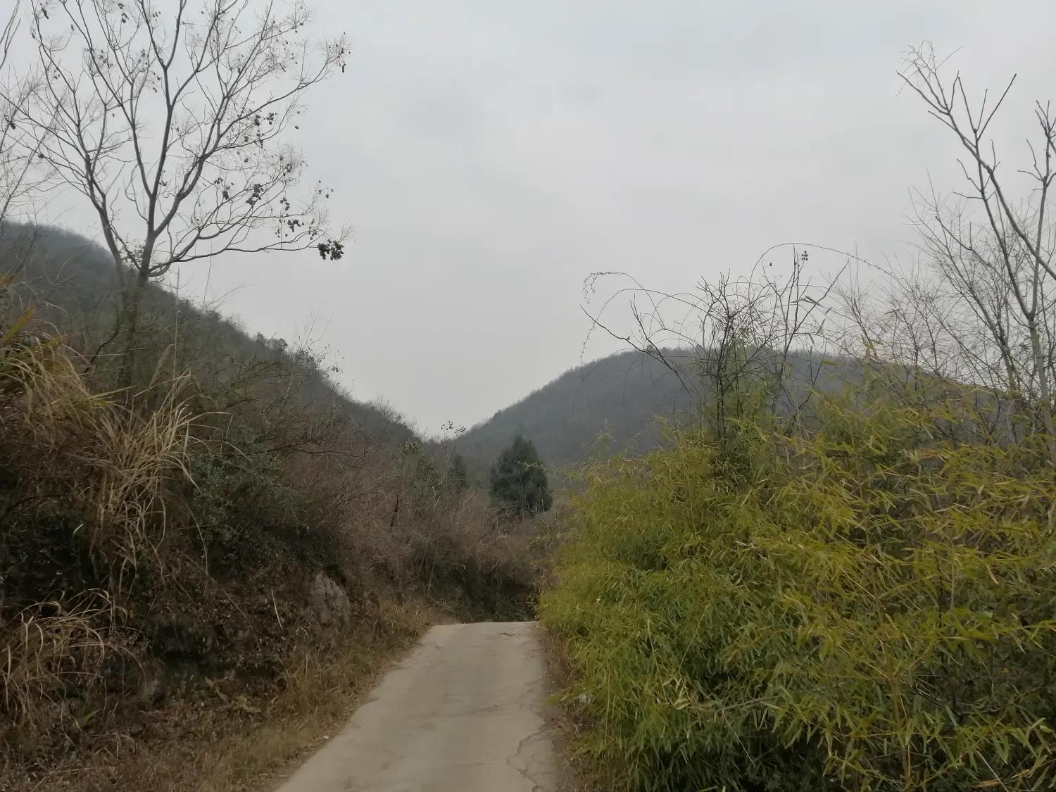 就这样被骗了心情说说,就这样被骗了的说说