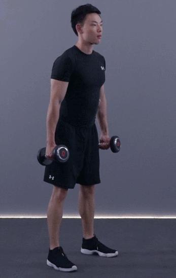 在家健身计划增肌,新手健身房15天肌肉塑形计划