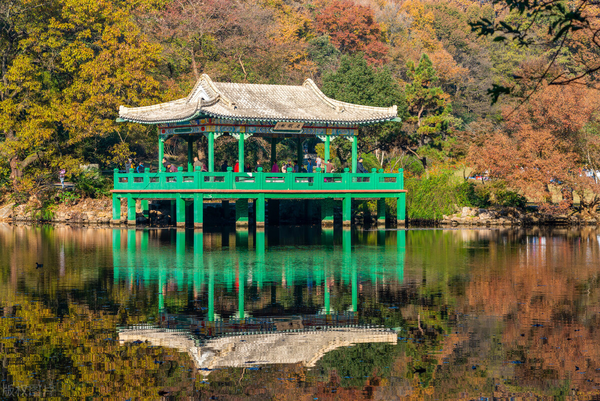 南京旅游攻略最值得一去的景点,南京旅游必去的景点最新