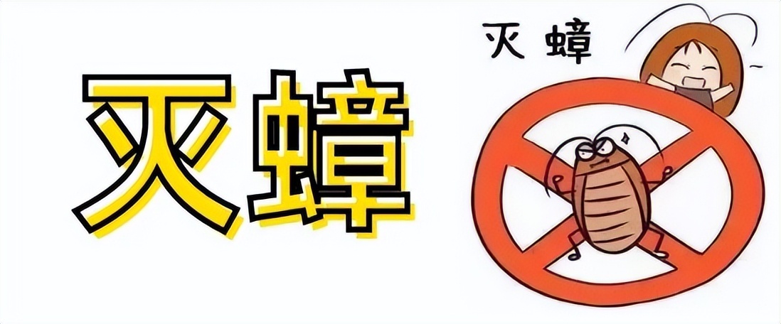 家庭除四害注意事项,夏天的四害怎么消灭