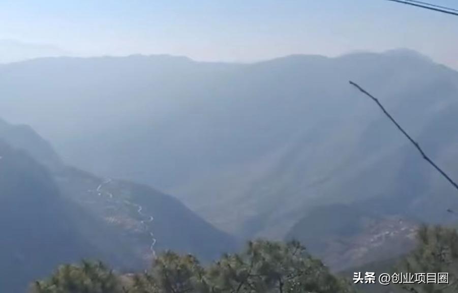 农村不起眼的项目三年赚55万,农村不起眼的项目三年赚五十万